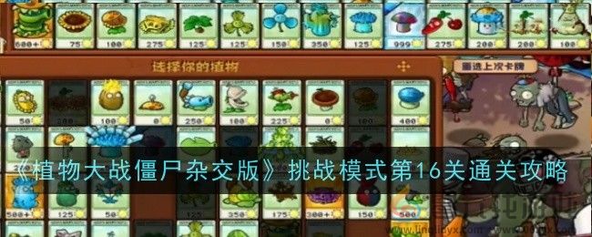 植物大战僵尸杂交版挑战模式第16关通关攻略