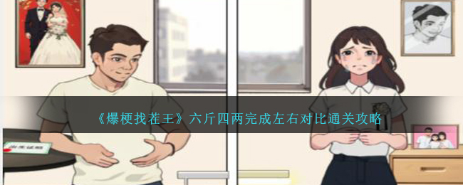 爆梗找茬王六斤四两完成左右对比通关攻略一览