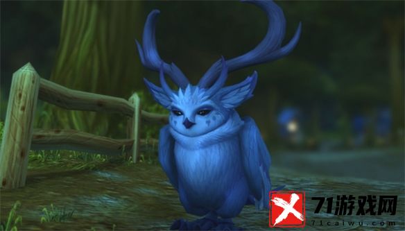 wow魔兽世界乌龟服猫头鹰和蝙蝠选哪个好