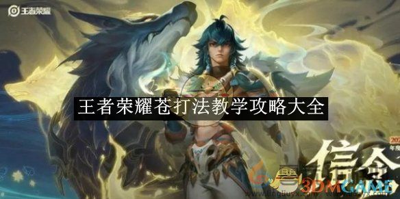 王者荣耀苍打法教学攻略大全