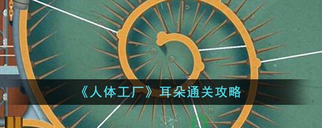 人体工厂耳朵通关攻略 耳朵怎么通关