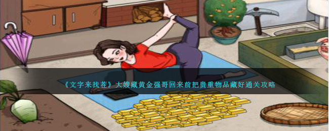 文字来找茬大嫂藏黄金强哥回来前把贵重物品藏好通关攻略