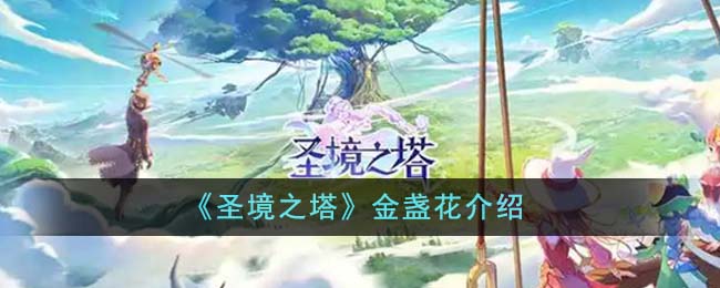 圣境之塔金盏花介绍 金盏花是什么